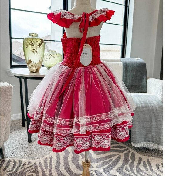NWT Dollcake Picture Perfect Vintage Floral & Tulle Dress Girls sz 3 - Picture 3 of 4